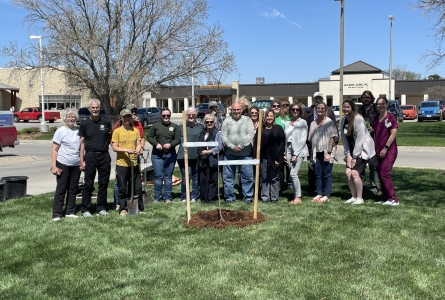 group planting tree